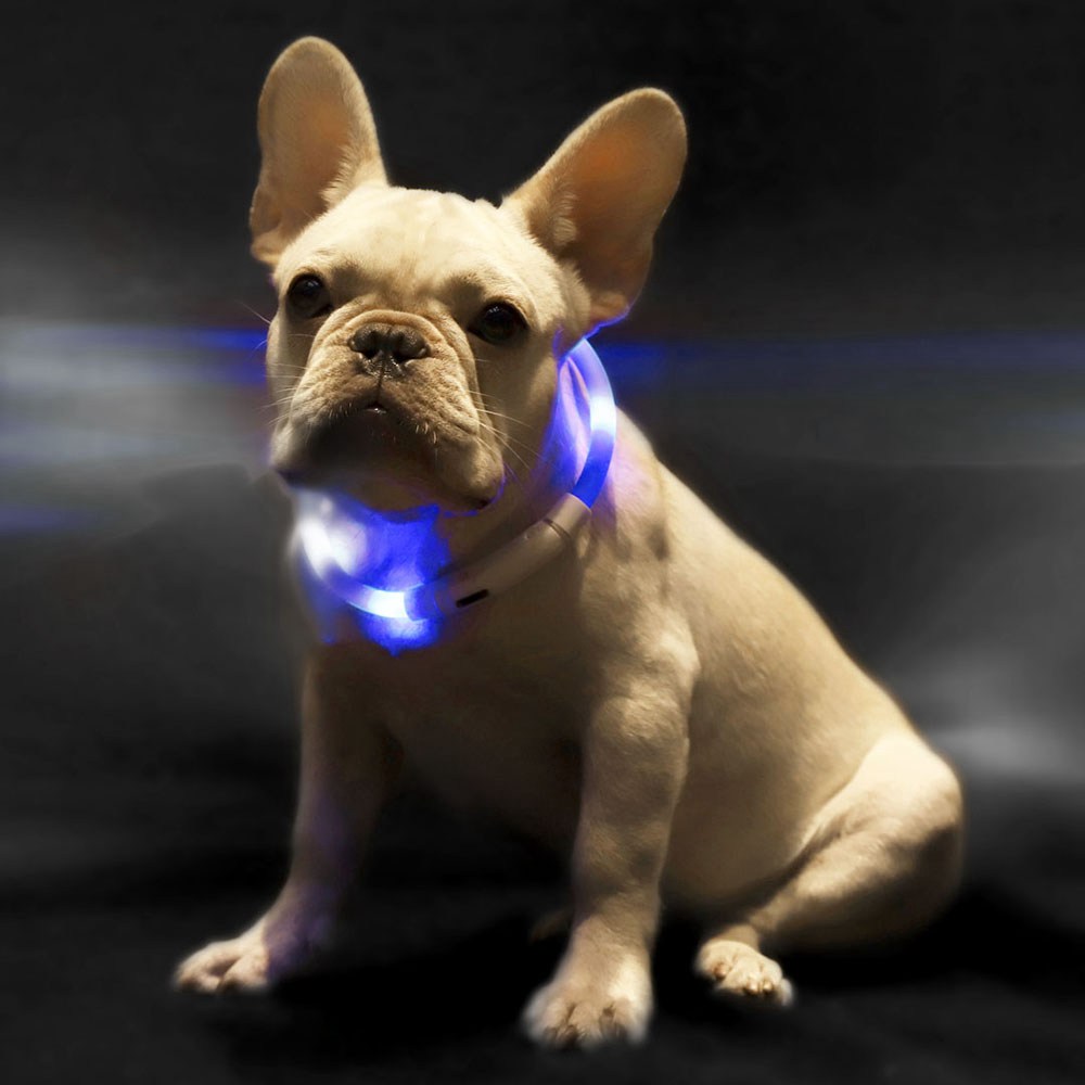 Small Beast Star XL81-5001 Luminous Waterproof Dog Collar Blue