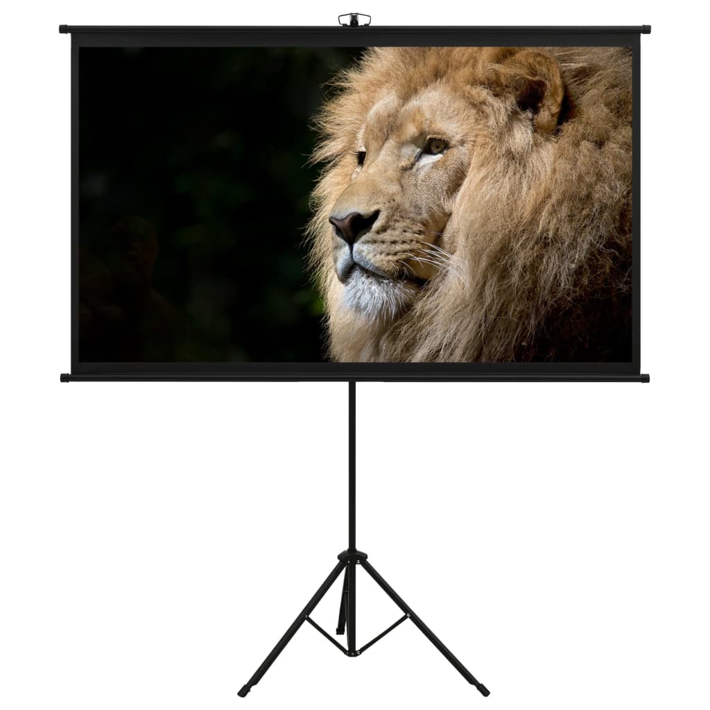 Projection Screen with Tripod 60