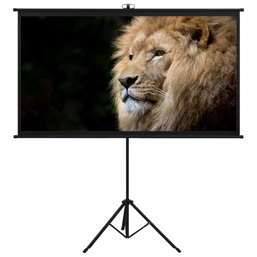 Projection Screen with Tripod 90