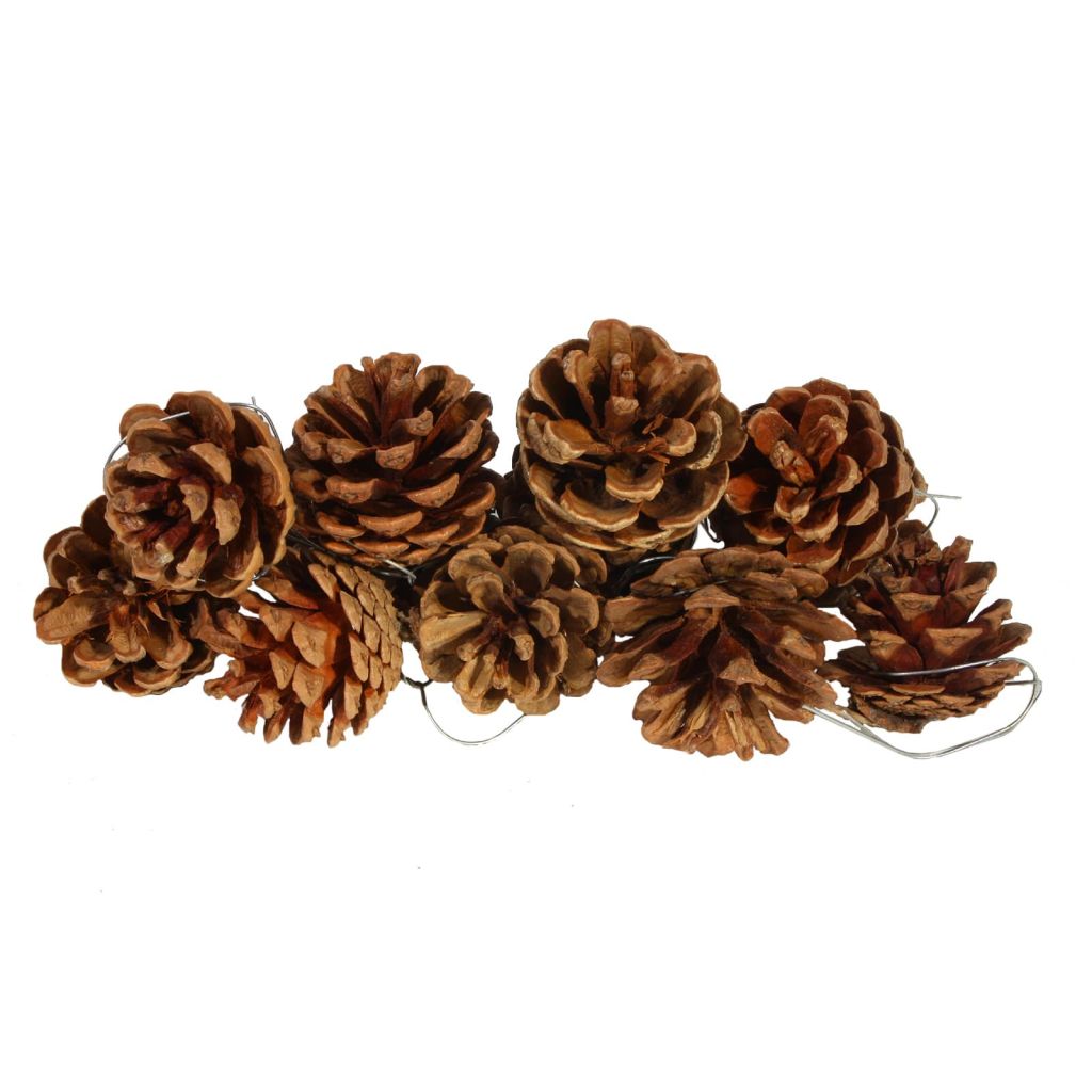 

Decorative Pinecones 10 pcs