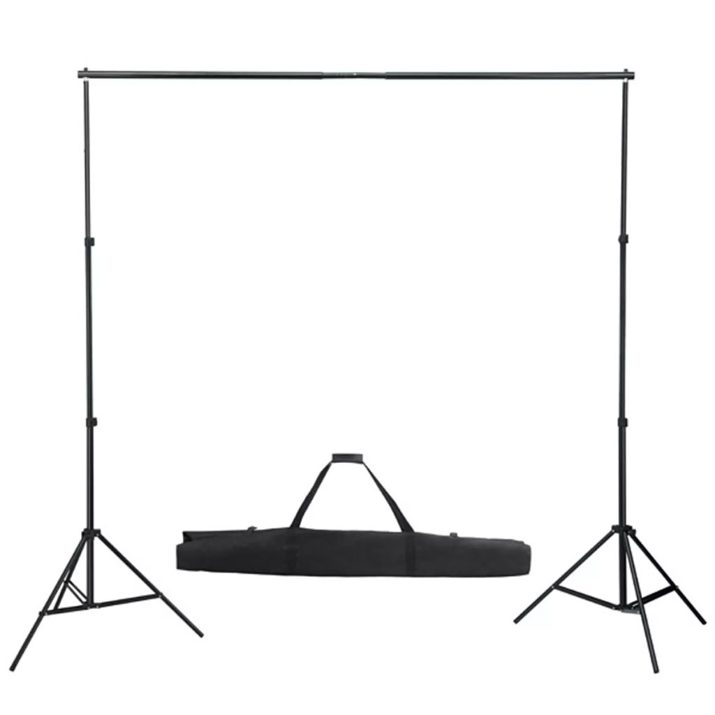 vidaXL Photo Backdrop Support System 600x300 cm Black