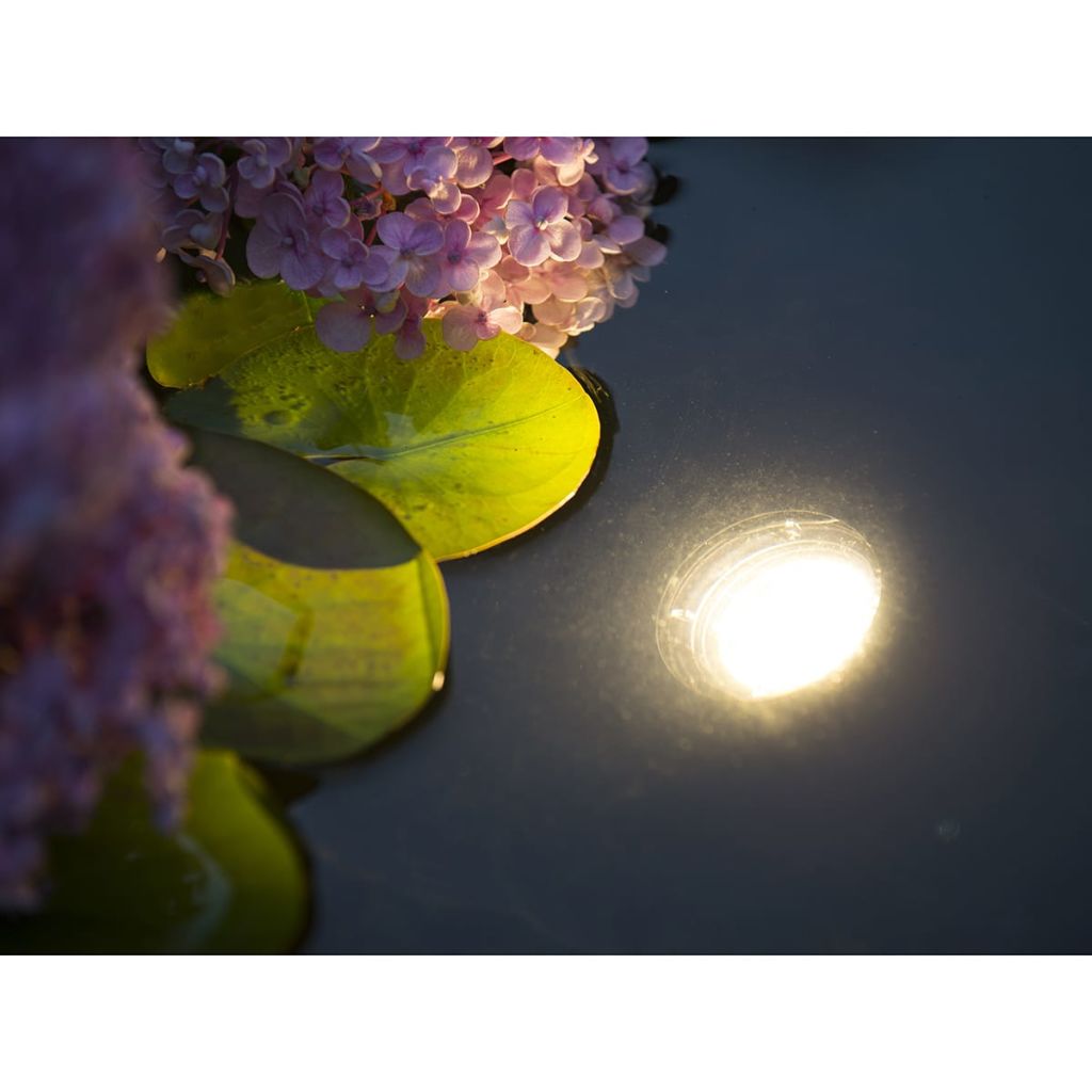 Ubbink Pond Lights MultiBright 20 LEDs 1354037