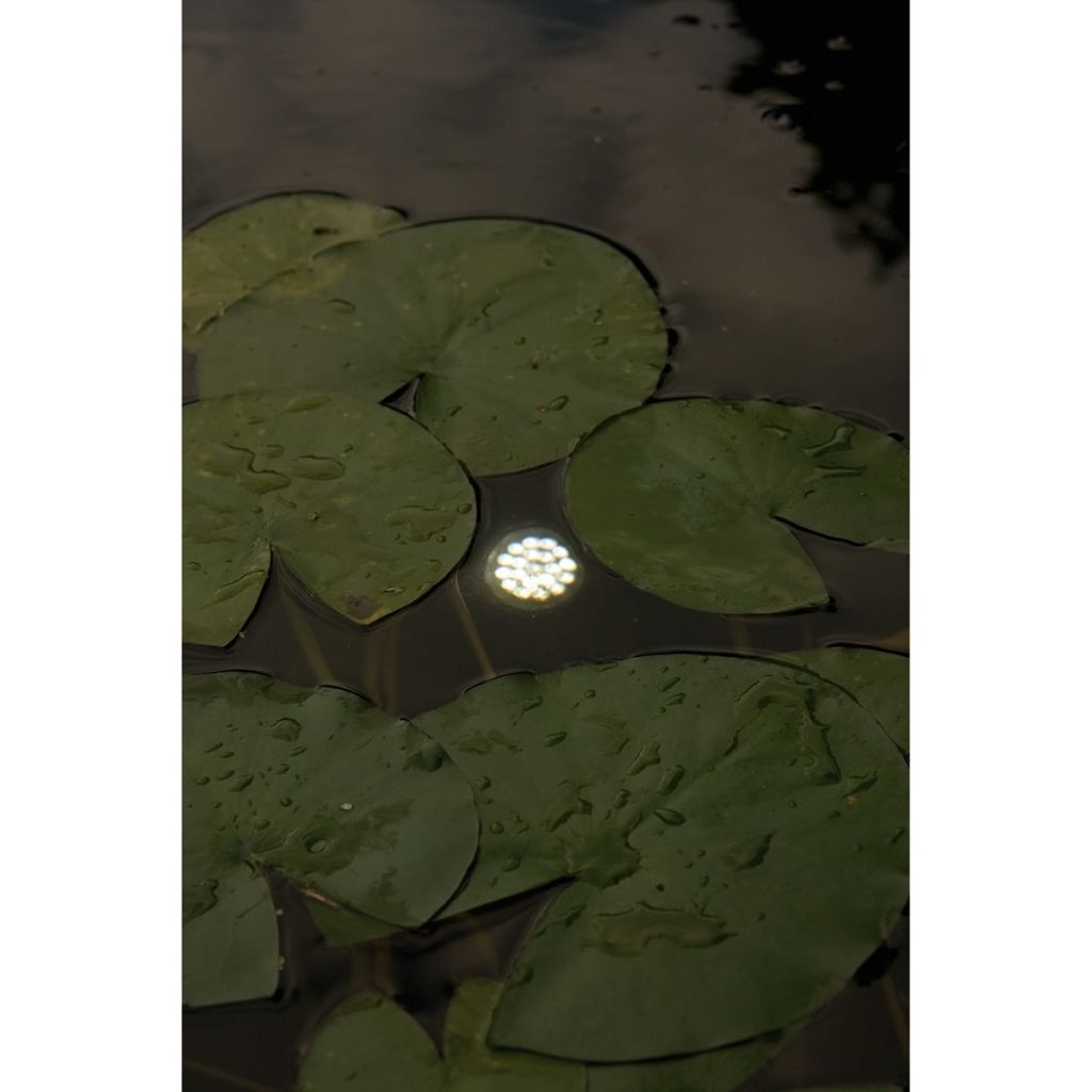 Ubbink Pond Lights MultiBright 20 LEDs 1354037