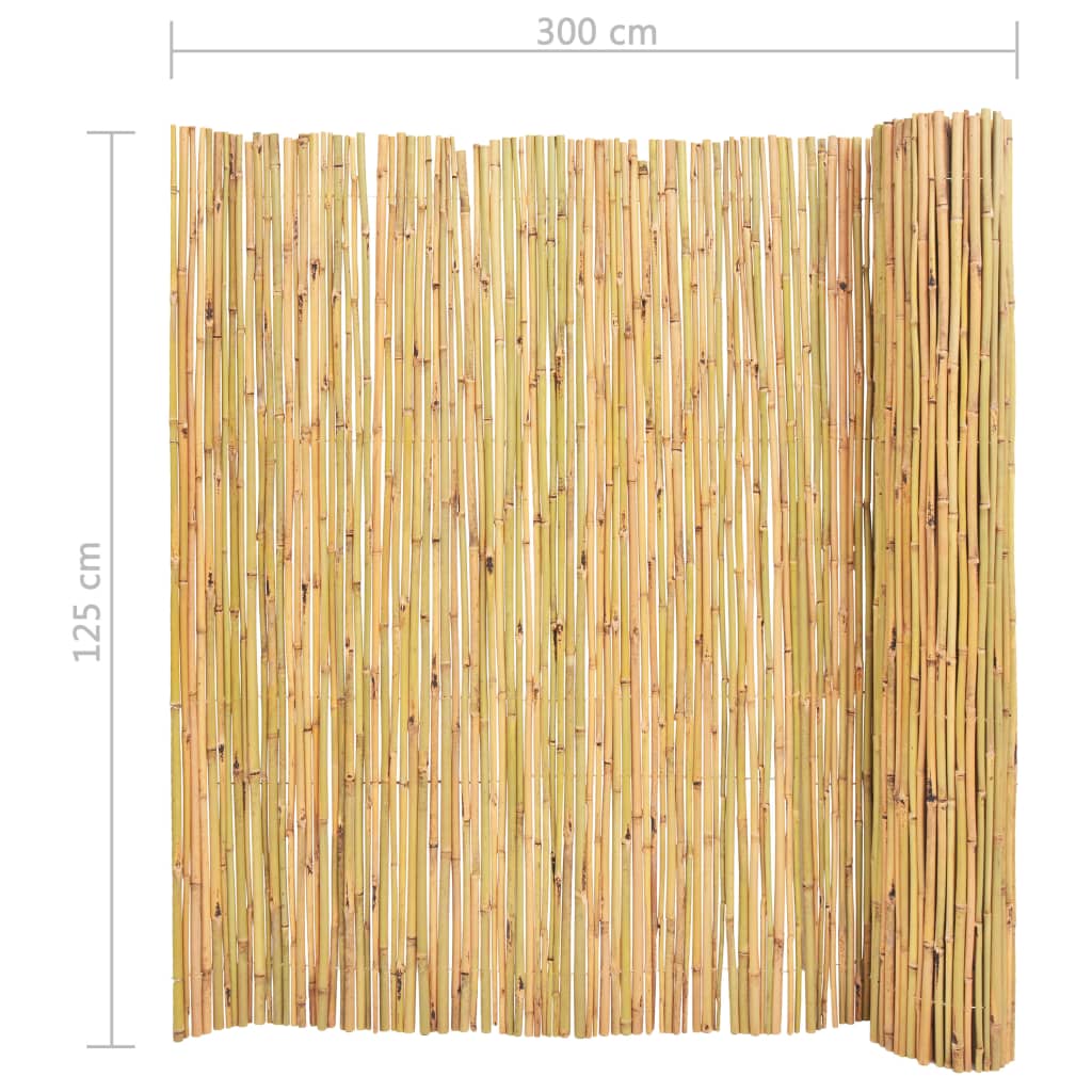 Bamboo Fence 300x125 cm