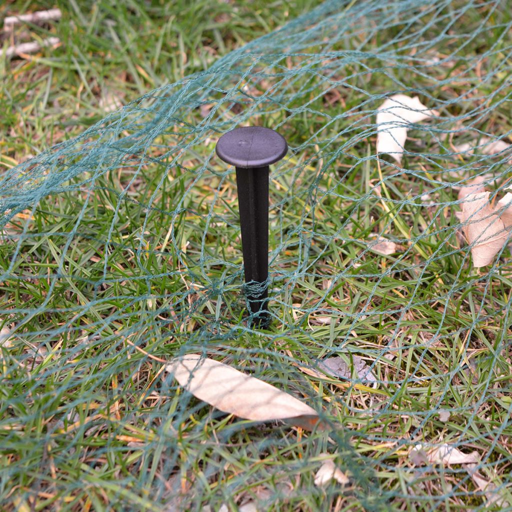 Pond Cover Net 10x6 m PE