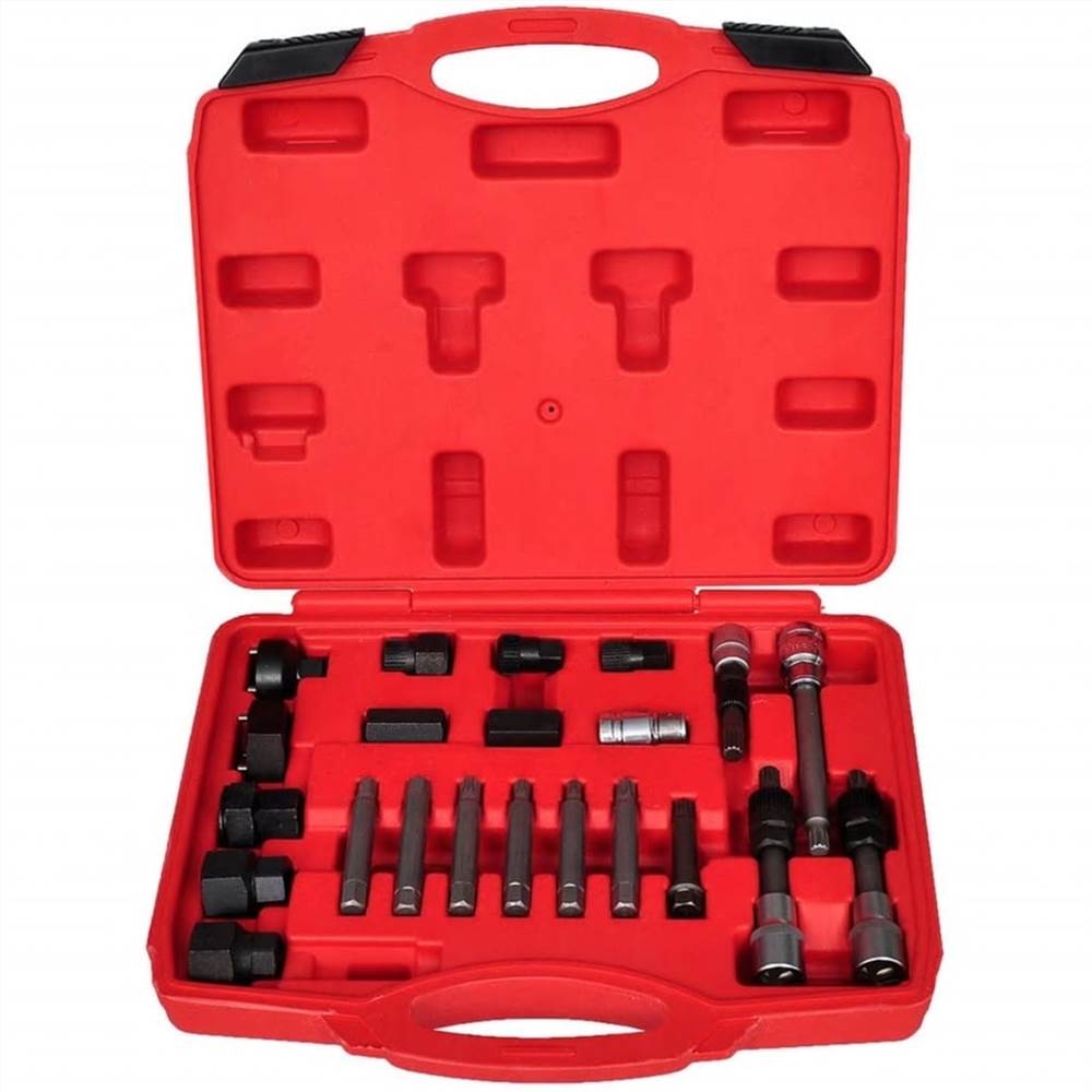 22 pcs Alternator Freewheel Removal Set
