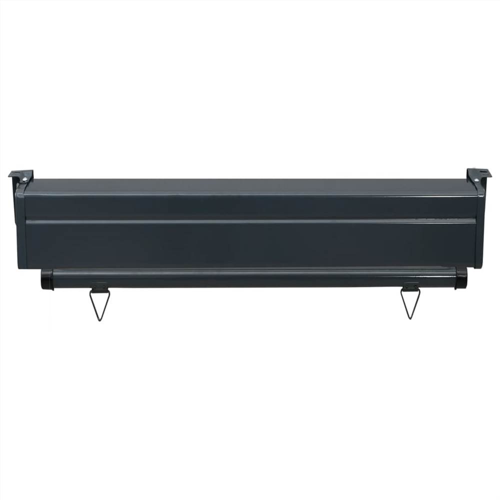 Balcony Side Awning 80x250 cm Grey