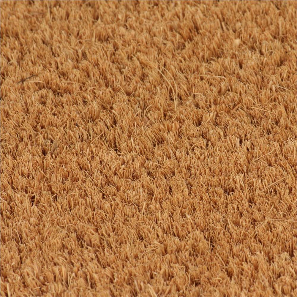Doormat Coir 24 mm 80x100 cm Natural
