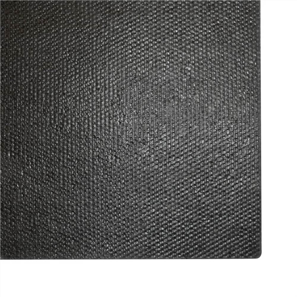 Doormats 2 pcs Coir 17 mm 50x80 cm Black