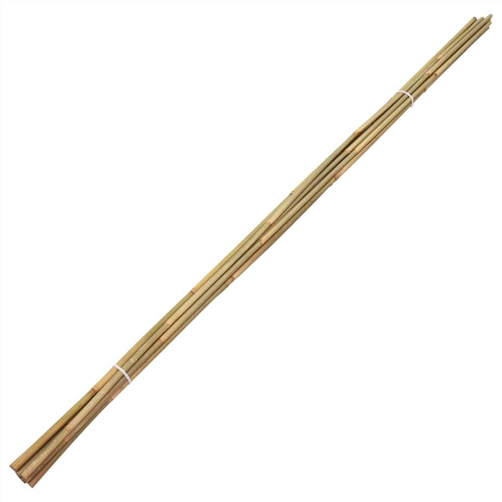 Garden Bamboo Stakes 50 pcs 170 cm