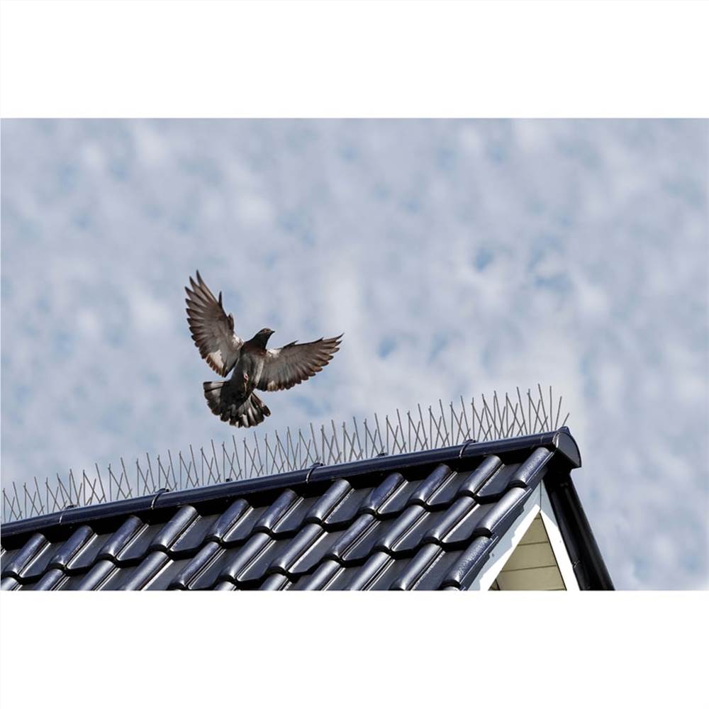 Защита от птиц на крыше