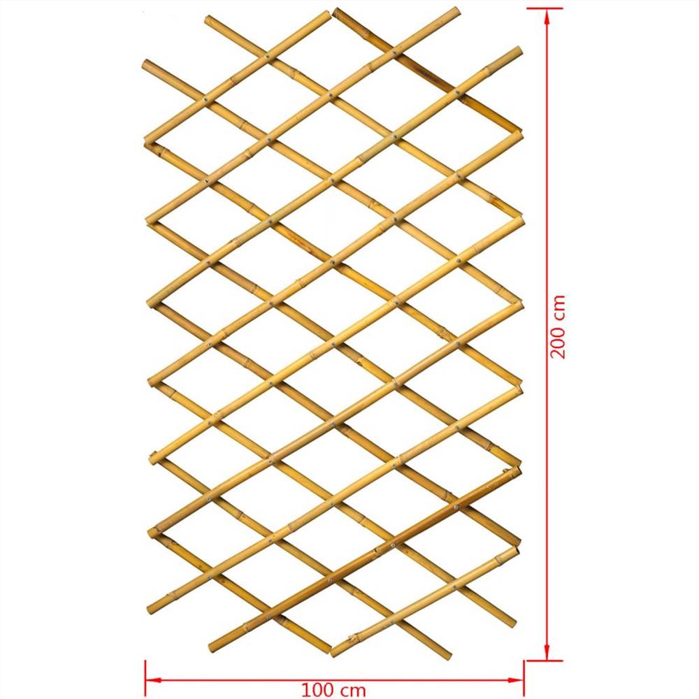 Nature Garden Trellis 100x200 cm Bamboo 6040722
