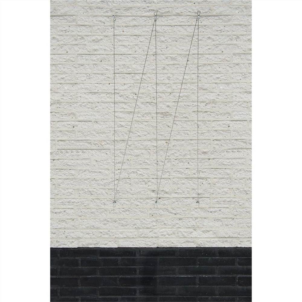 Nature Wire Trellis Set for Climbing Plants 6040760