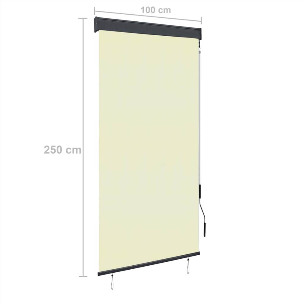 Outdoor Roller Blind 100x250 cm Cream