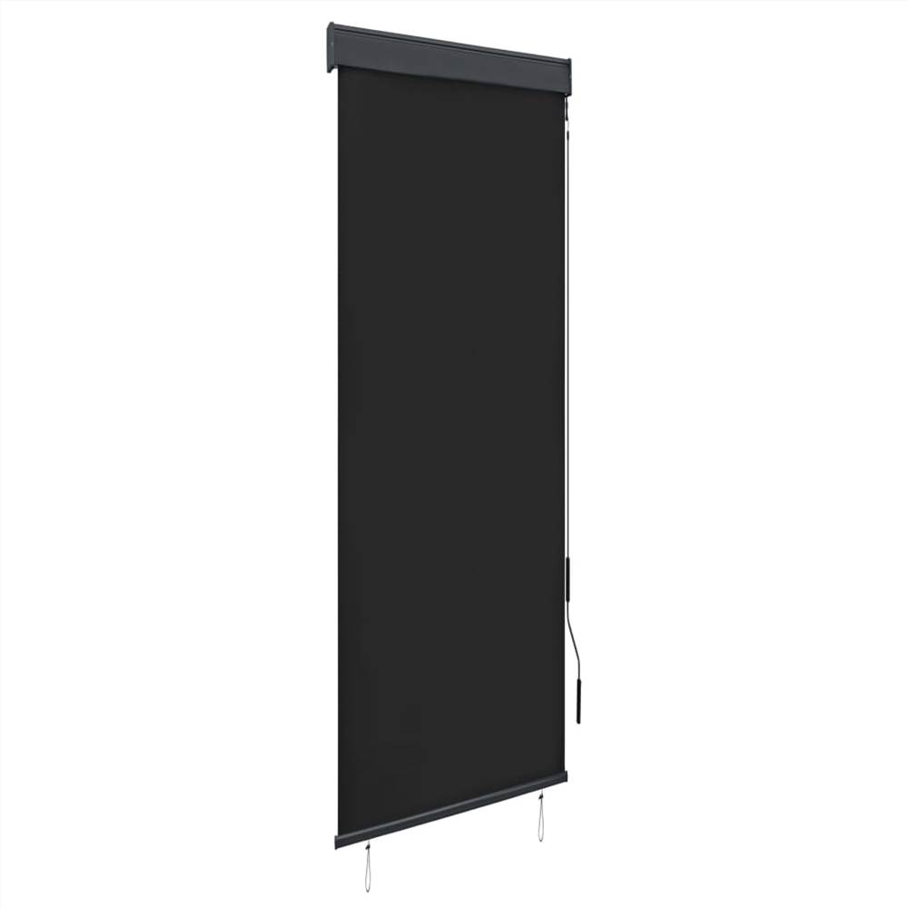 

Outdoor Roller Blind 60x250 cm Anthracite