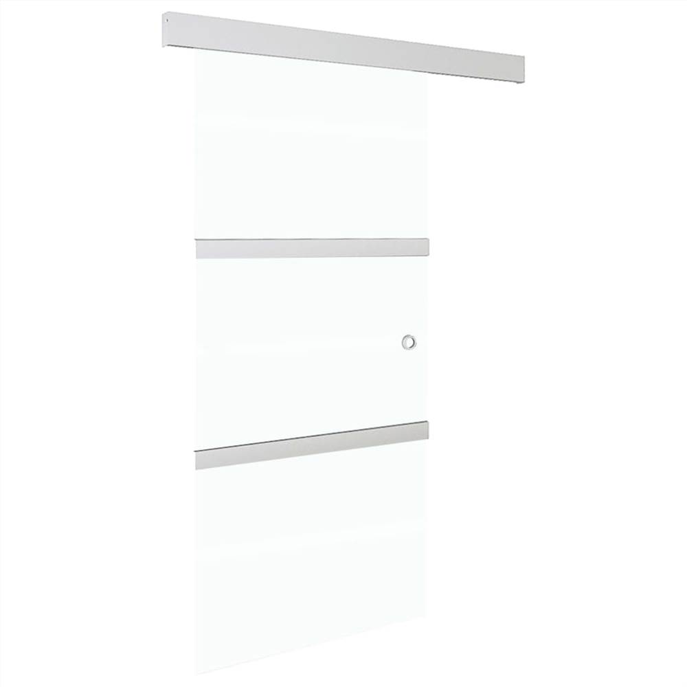 Sliding Door with Soft Stops ESG Glass 102.5x205 cm Silver