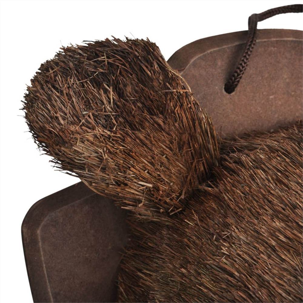 Bear Head Wall Mounted Decoration Natural Looking