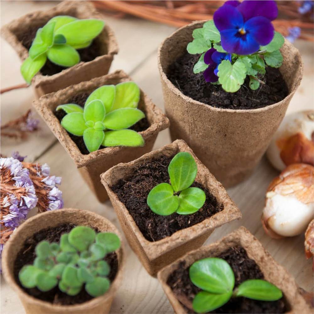 Nature Peat Pots 96 pcs 6x6 cm