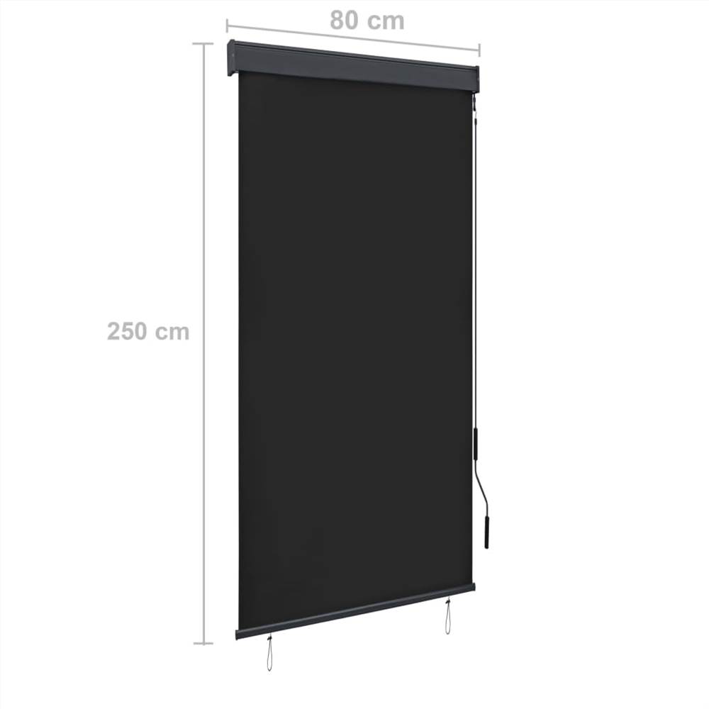 Outdoor Roller Blind 80x250 cm Anthracite