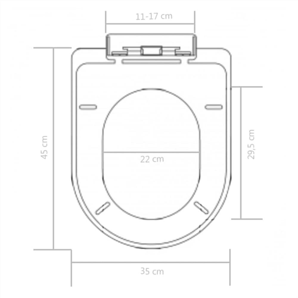 Soft-close Toilet Seat with Quick-release Design Black