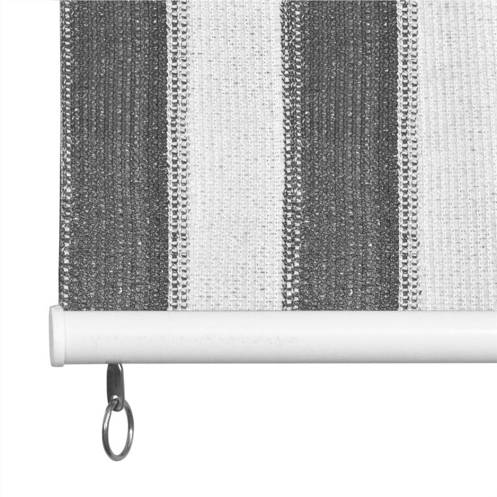 Outdoor Roller Blind 100x230 cm Anthracite and White Stripe