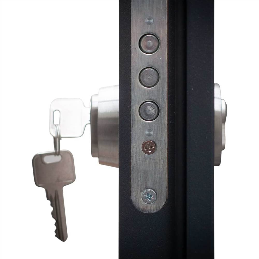 Aluminium Front Door Anthracite 100x200 cm