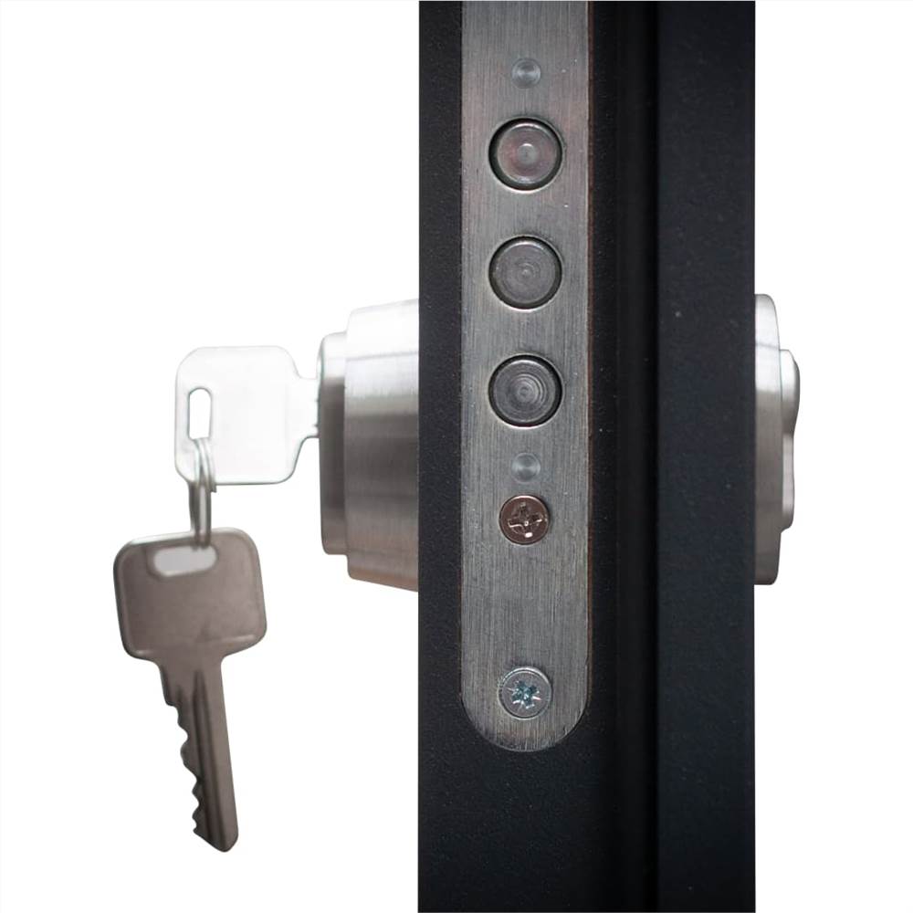 Aluminium Front Door Anthracite 110x207.5 cm