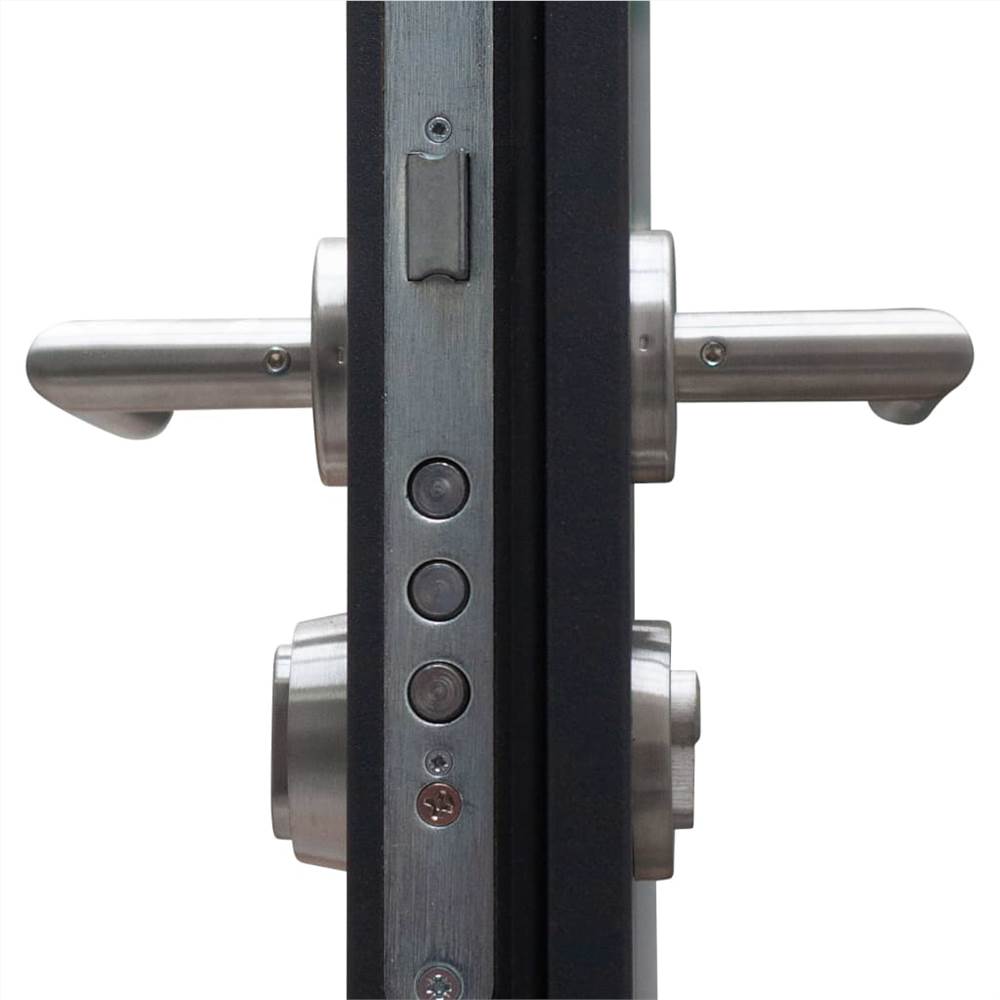 Aluminium Front Door Anthracite 110x207.5 cm