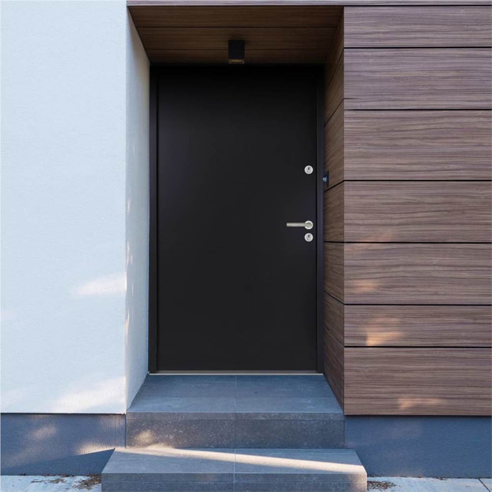 

Aluminium Front Door Anthracite 100x200 cm