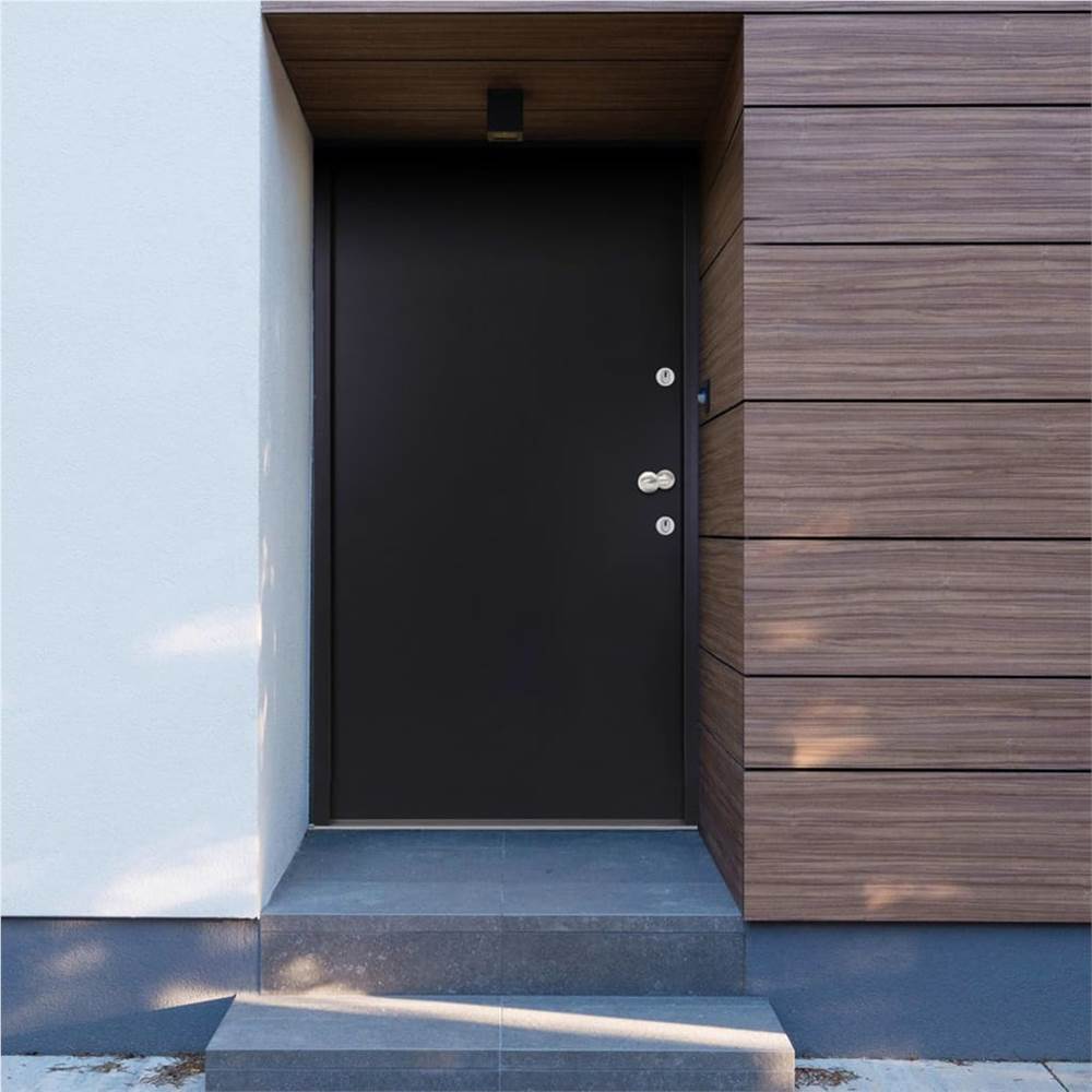 

Aluminium Front Door Anthracite 100x200 cm