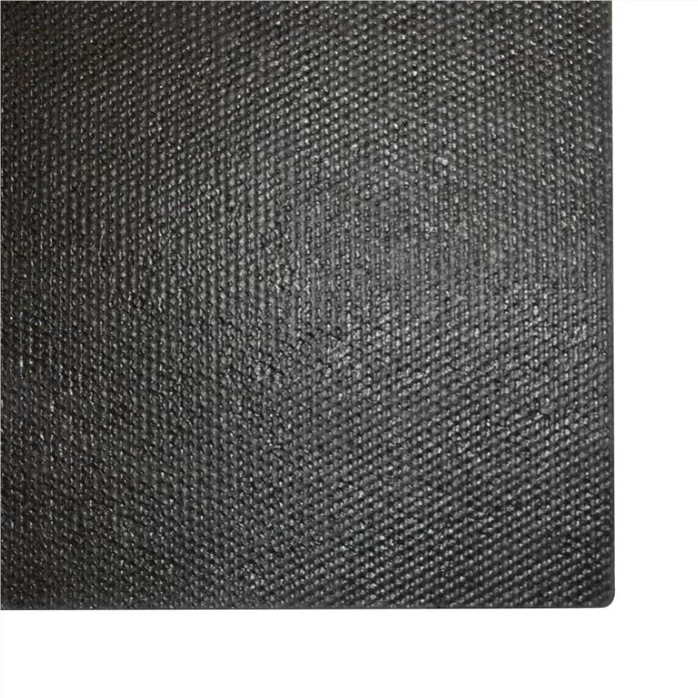 Doormat Coir 24 mm 100x200 cm Natural
