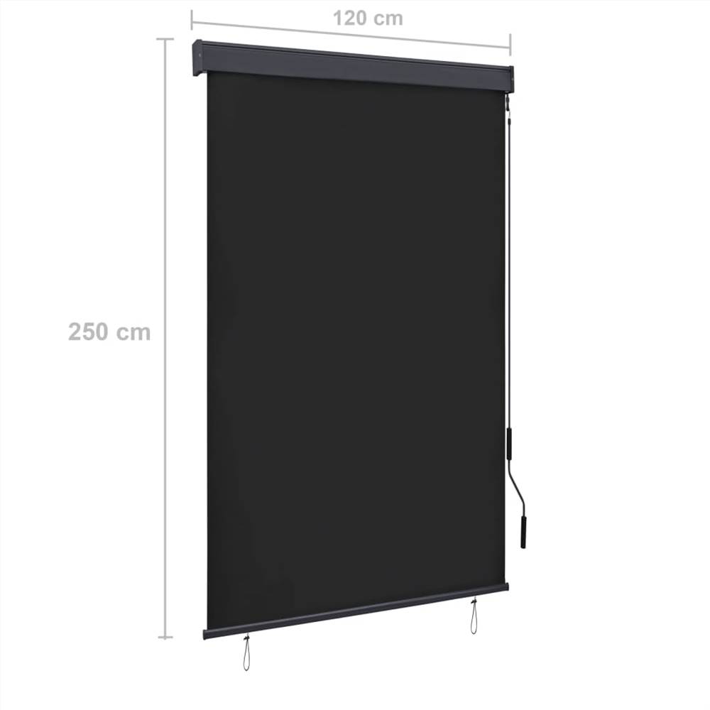 Outdoor Roller Blind 120x250 cm Anthracite