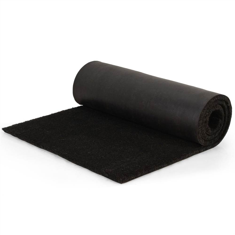 Doormat Coir 17 mm 100x300 cm Black