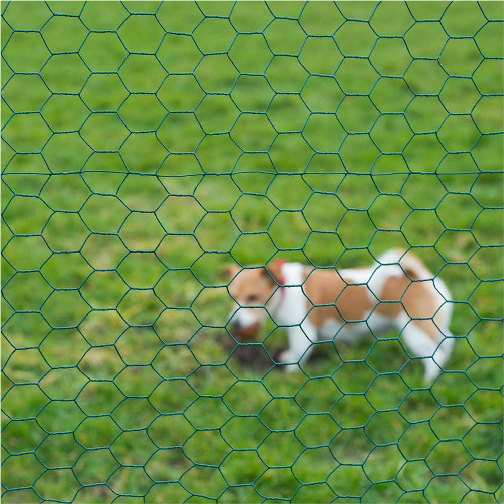 Nature Wire Mesh Hexagonal 1x5 m 13 mm Plastic coated Steel Green
