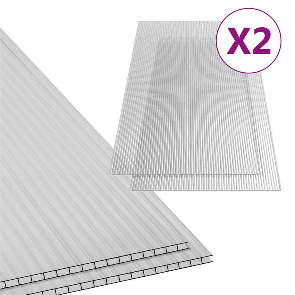 Polycarbonate Sheets 2 pcs 10 mm 150x65 cm