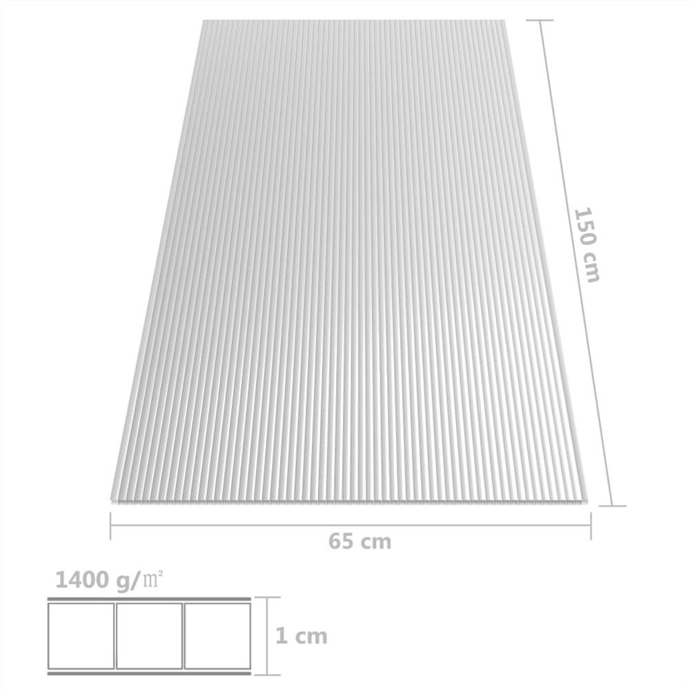 Polycarbonate Sheets 2 pcs 10 mm 150x65 cm
