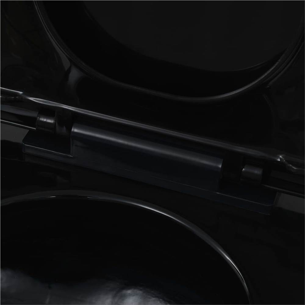 Wall-Hung Toilet Ceramic Black