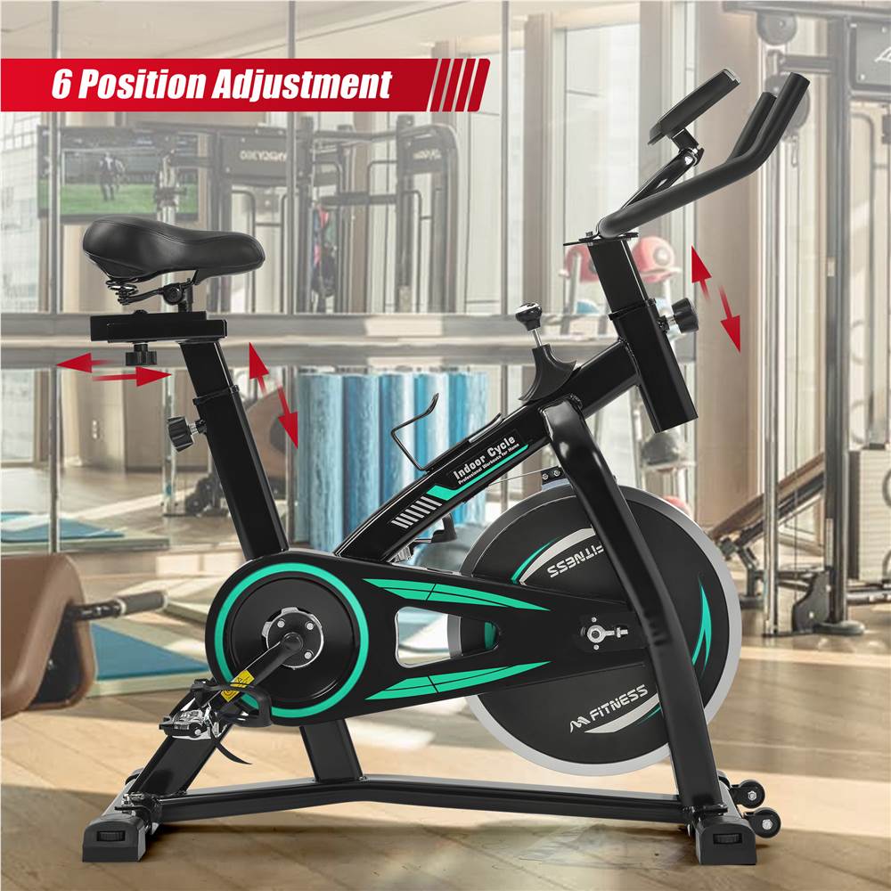 Stationary Indoor Cycling Bike for Home Cardio Workout, Belt Drive Exercise Bicycle with LCD Monitor