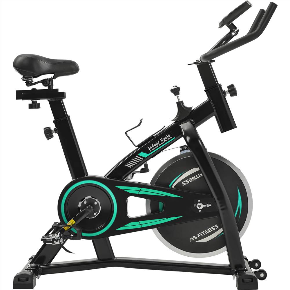 Stationary Indoor Cycling Bike for Home Cardio Workout, Belt Drive Exercise Bicycle with LCD Monitor