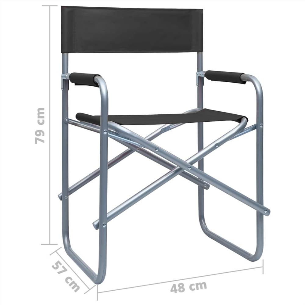 Directors Chairs 2 pcs Steel Black