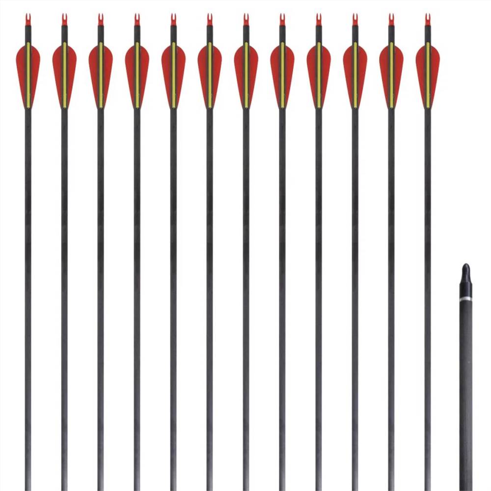 Standard Recurve Bow Arrows 30&quot; 0.76 cm Carbon 12 pcs