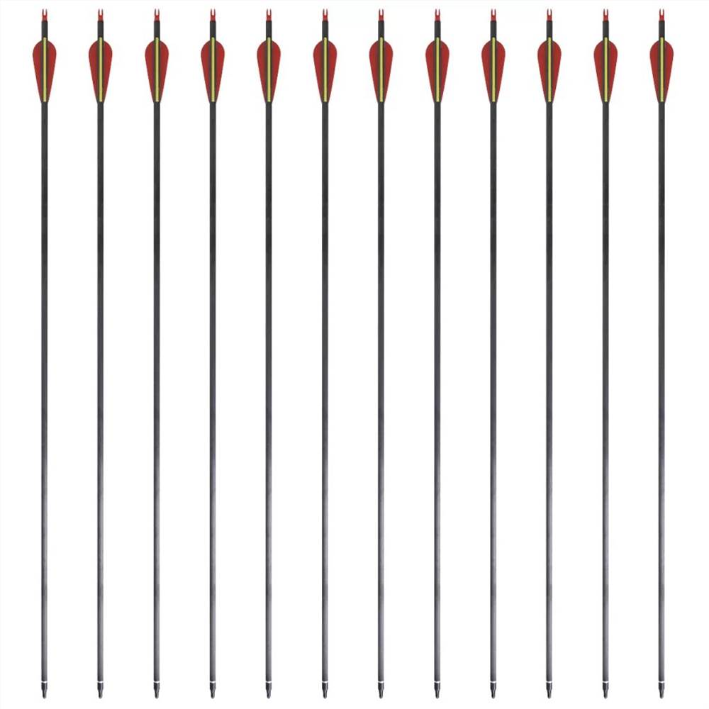 Standard Recurve Bow Arrows 30" 0.76 cm Carbon 12 pcs