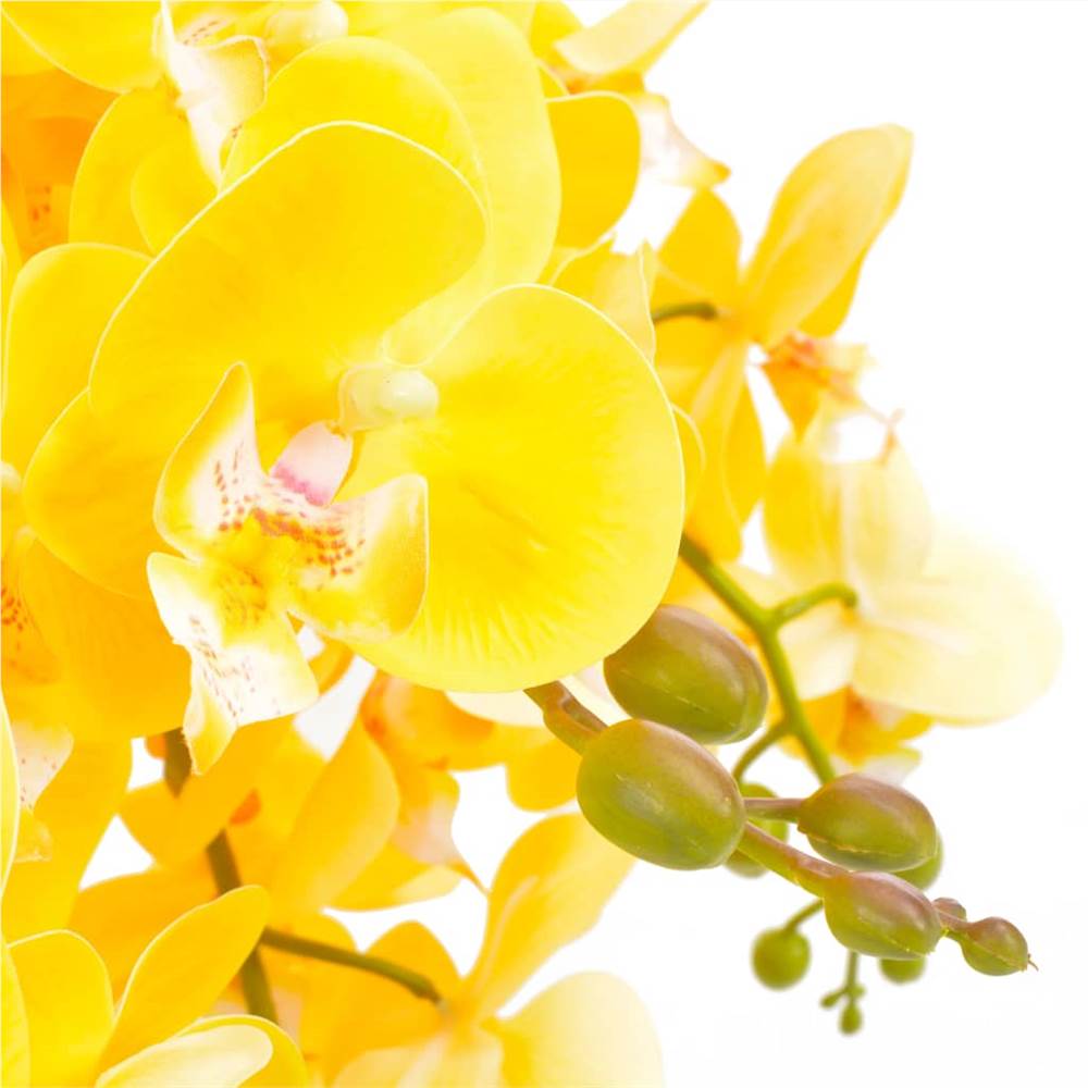 Купить желтую орхидею в горшке. Желтая Орхидея. Желтая Орхидея в горшке. Желтые орхидеи горные. Разновидность желтых орхидей.