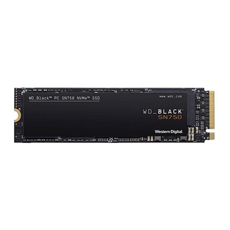 Western Digital Solid State Drive M.2 SSD 16003100 MB/s Europe