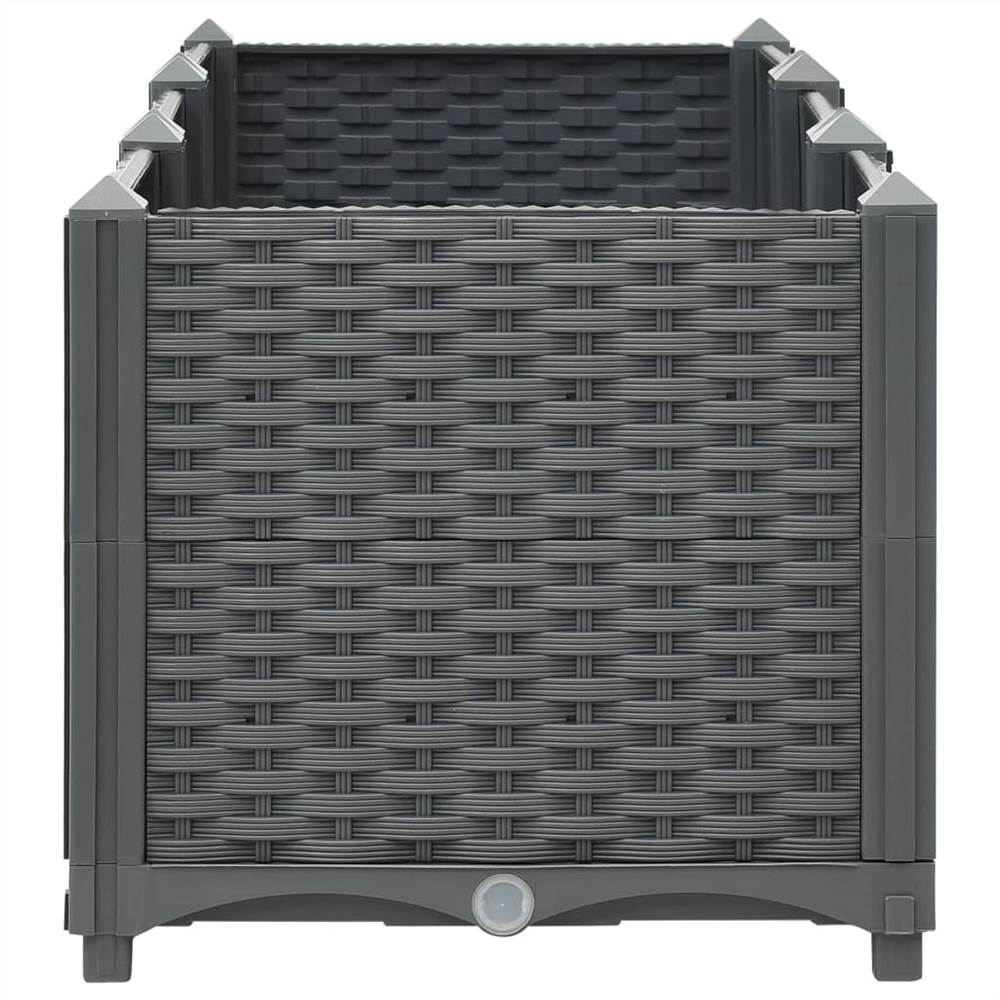 Raised Bed 120x40x38 cm Polypropylene