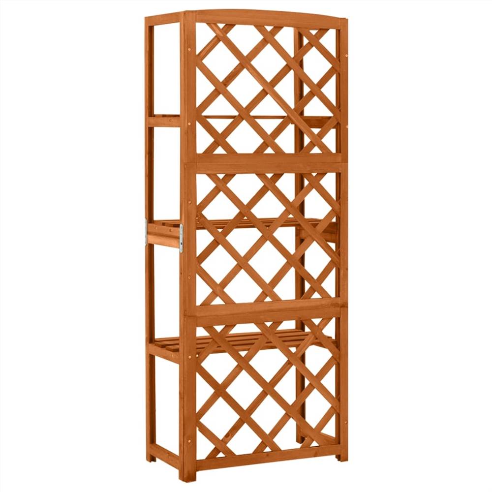 Trellis with Shelves 55x30x140 cm Solid Fir Wood
