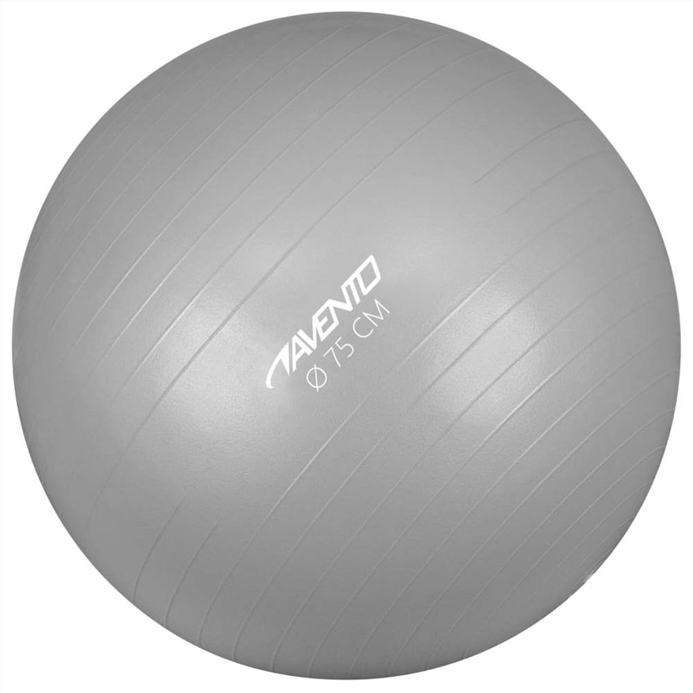 

Avento Fitness/Gym Ball Dia. 75 cm Silver