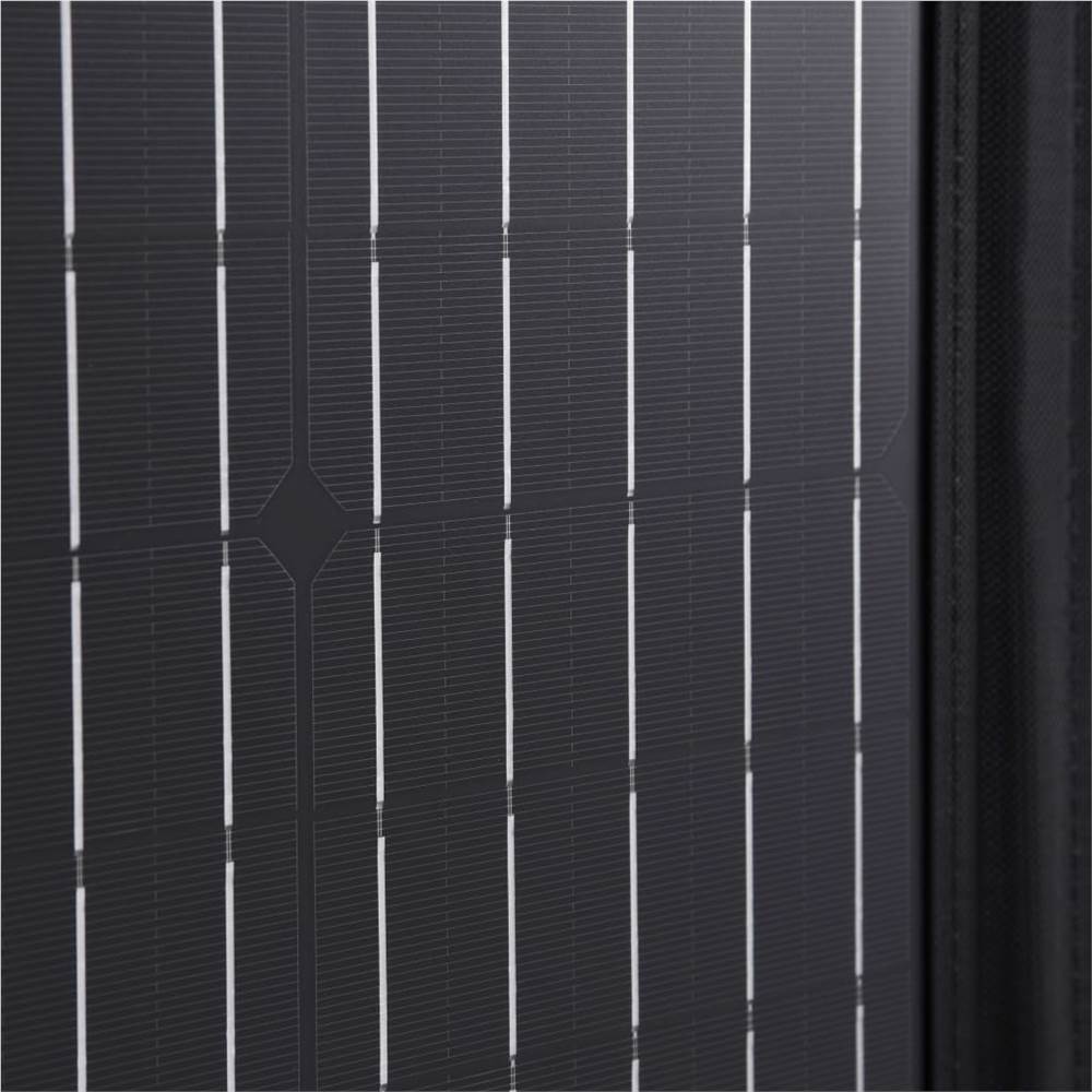 Foldable Solar Panel Charger 100 W 12 V