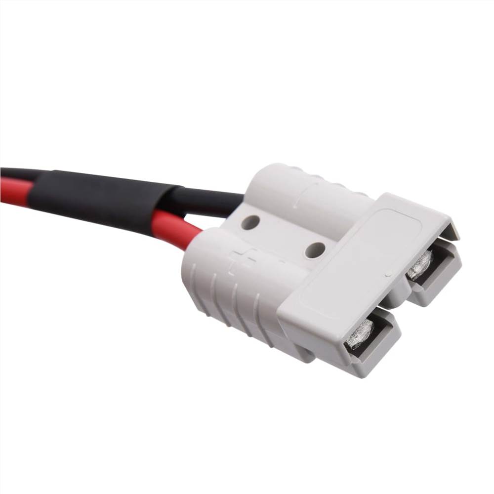 Foldable Solar Panel Charger 100 W 12 V