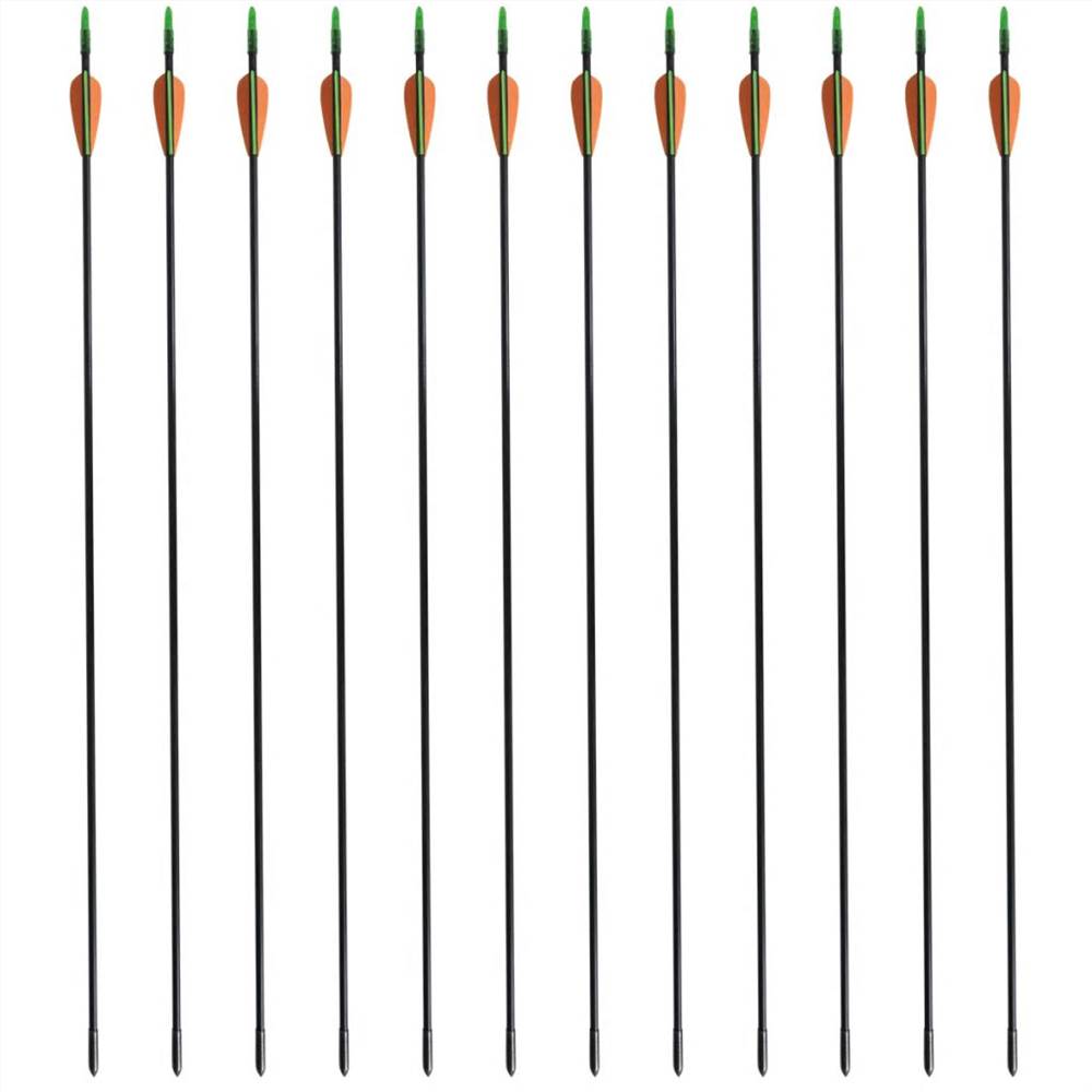 Standard Recurve Bow Arrows 30" 0.6 cm Fiberglass 12 pcs